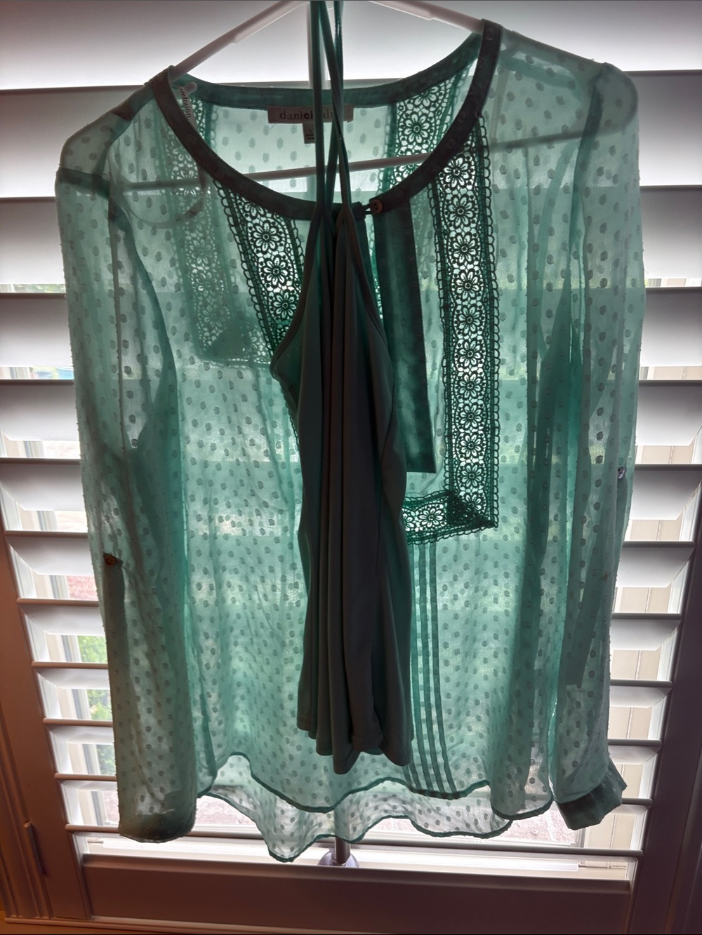 Daniel Rainn Mint Green Sheer Dot Blouse with Lace Trim